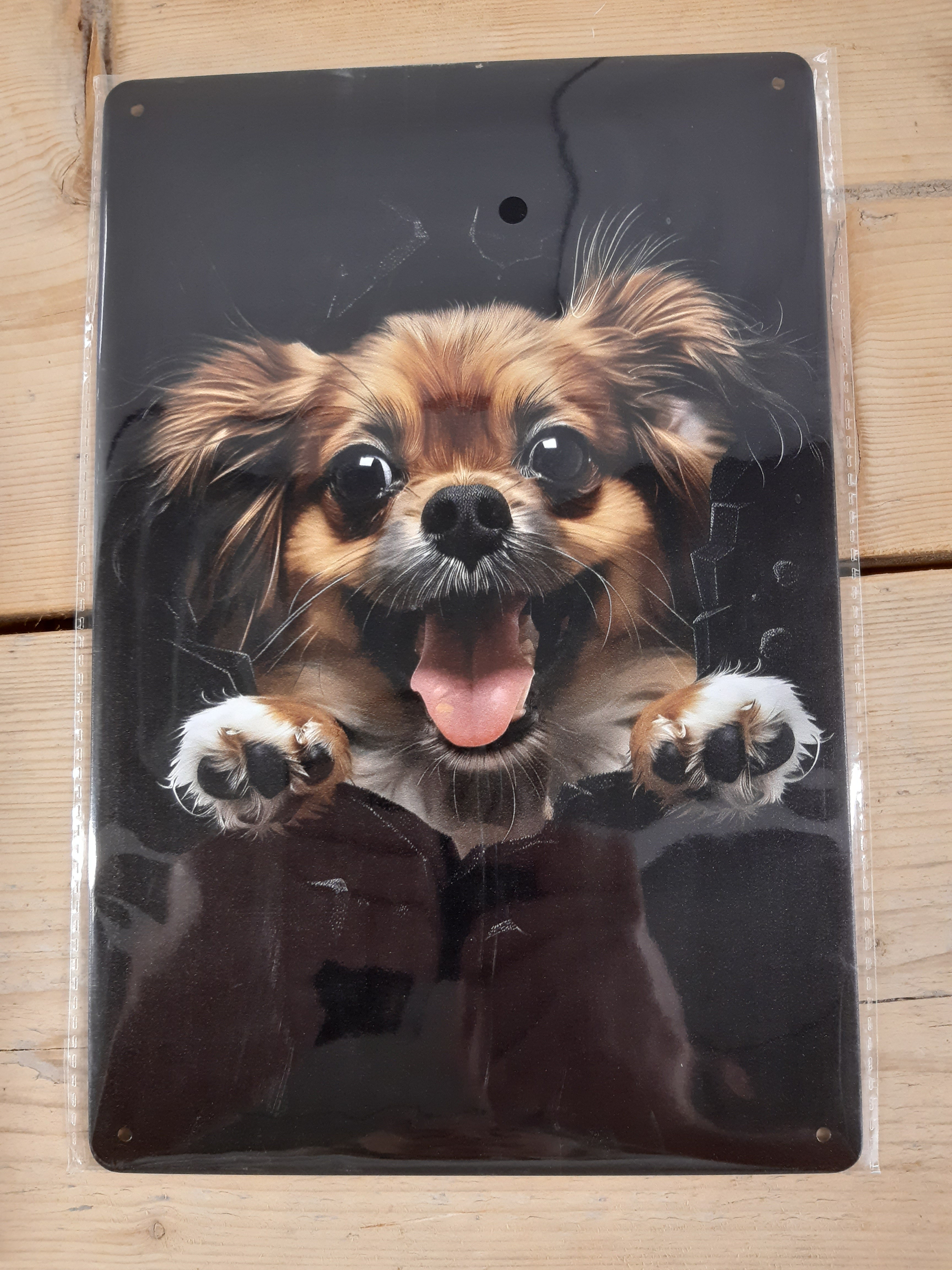 ts 2027